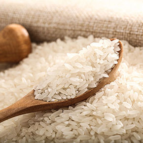 分類圖片 香米穀物類