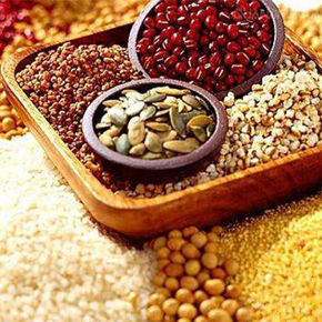 分類圖片 五穀 及 豆類